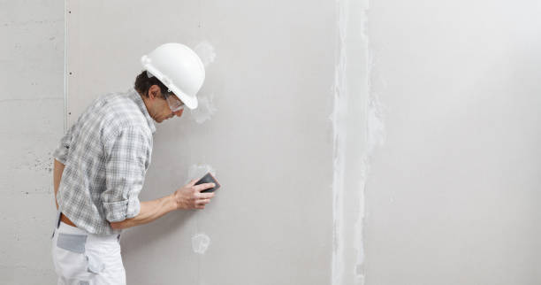 Best Fire-Damaged Drywall Repair  in Hollins, VA